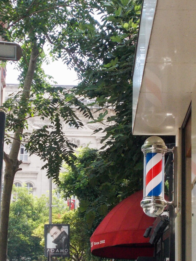 真似するわけじゃないけれど…やっぱり目に入るもん…