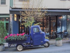 ”シクラメンのカフェ”って呼ぶようになりました～♡