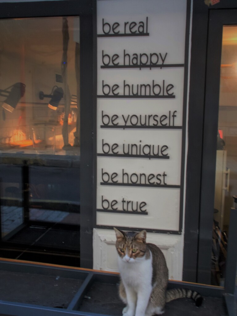 朝からズ～～と熟考中～～