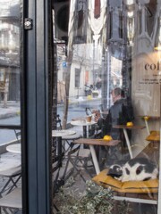 いつでも　どこでも１等席で～ニャン～