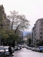 路～～　海への下り坂～～