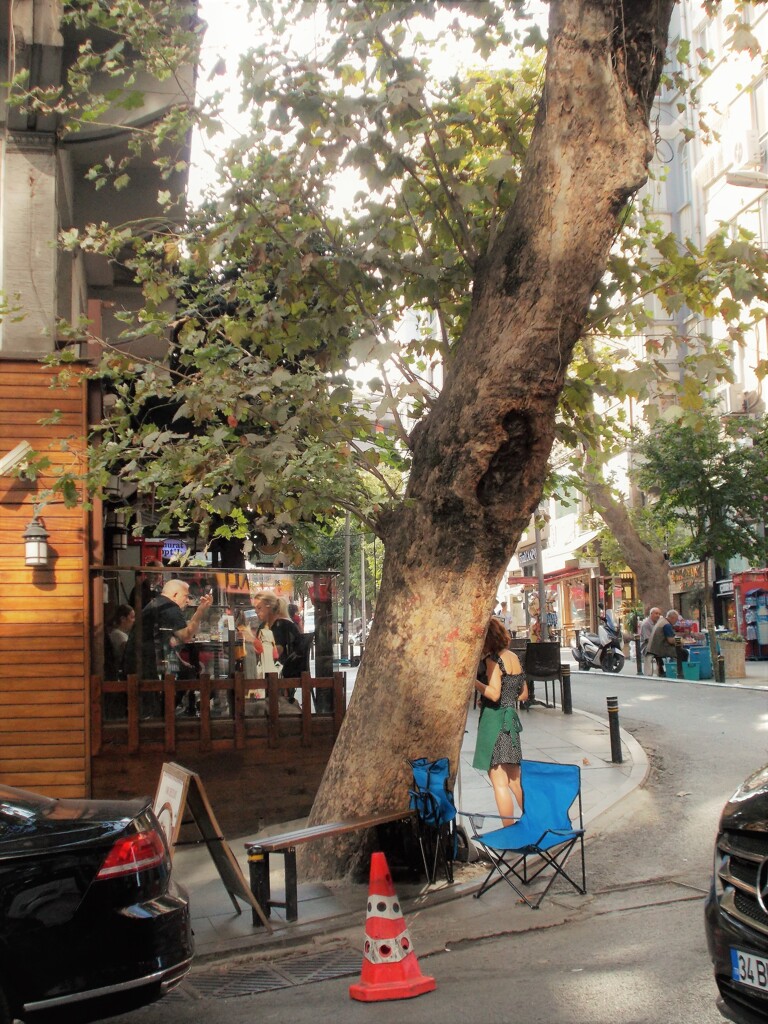 夏の終わり頃～～