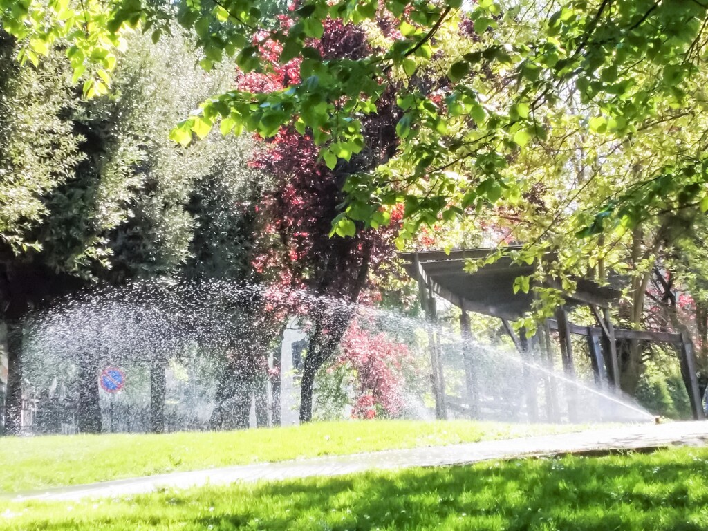 スプリンクラー　✨～　新緑　✨～