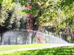 スプリンクラー　✨～　新緑　✨～