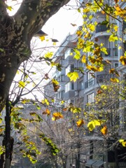 夫々の季節　瞬間に最大限の美しさを見せてくれる自然～✨