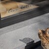 live better…　何が必要かニャ？～