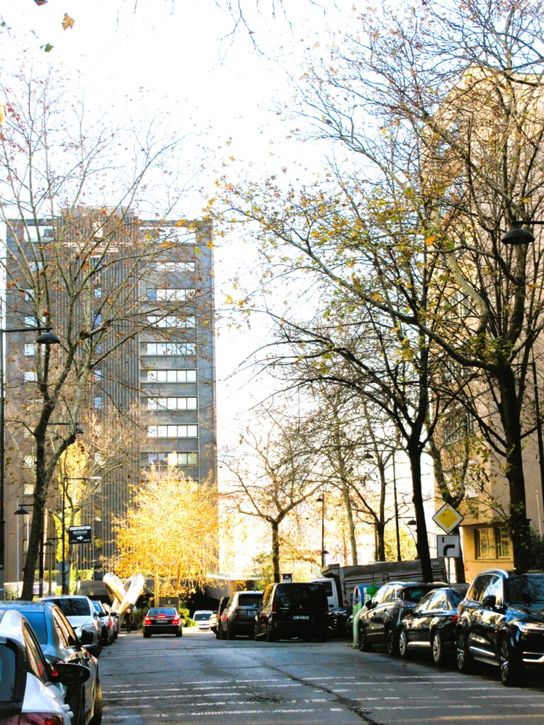 燃えながら…枯れてく…