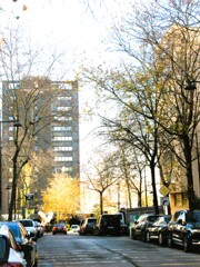 燃えながら…枯れてく…