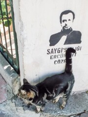 ニャンニャン７　ミッション　尾行をまく！