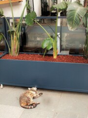  when you don't have to pay anything～～♪