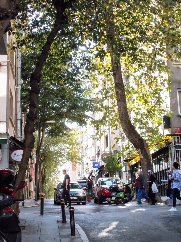 もう１っの朝を生きる～♪