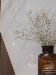 カスミソウ～　別名　赤ちゃんの吐息～