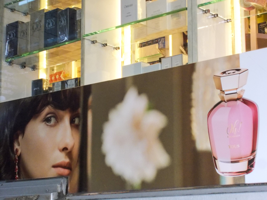 ピンクの柔らかな視線～～