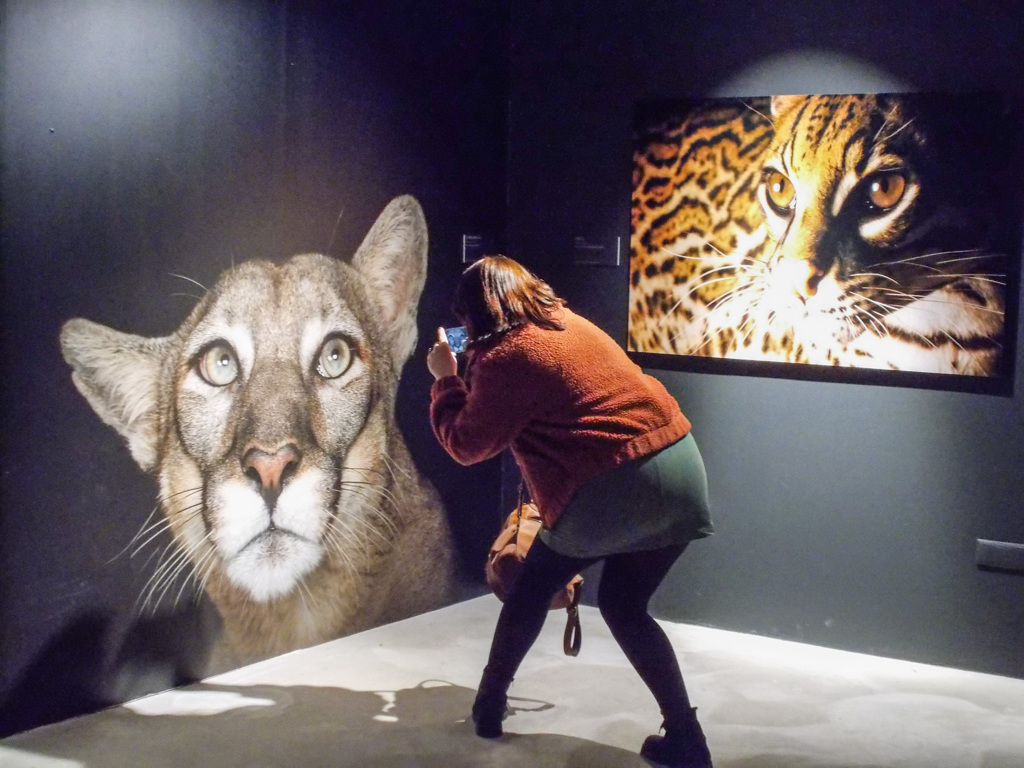 今度は　上からニャノ？！☆