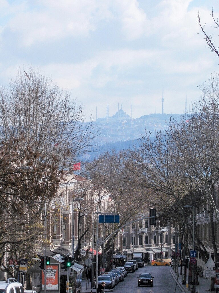 Ah Istanbu～～亡命～？