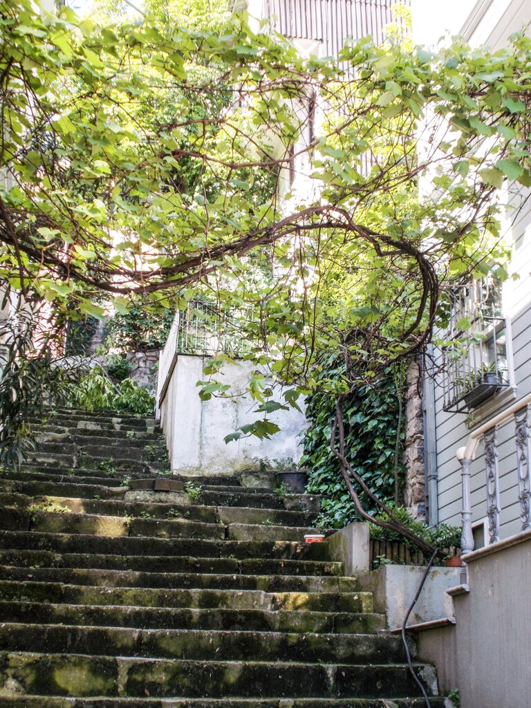 海辺の町の階段～　きっと今はこんな感じ～～