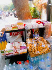 お店番～～＠Cats With Jobs～♪