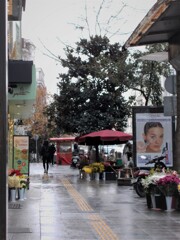 雨に濡れても。.。o○～