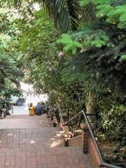 言葉のいらない会話～♡