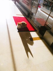 それ　あなたのお耳～♡　すごくとんがってるね…！