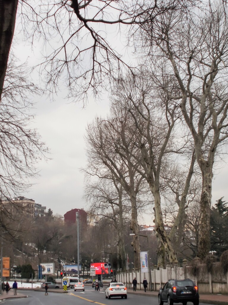 淀んでしまった時間・・・