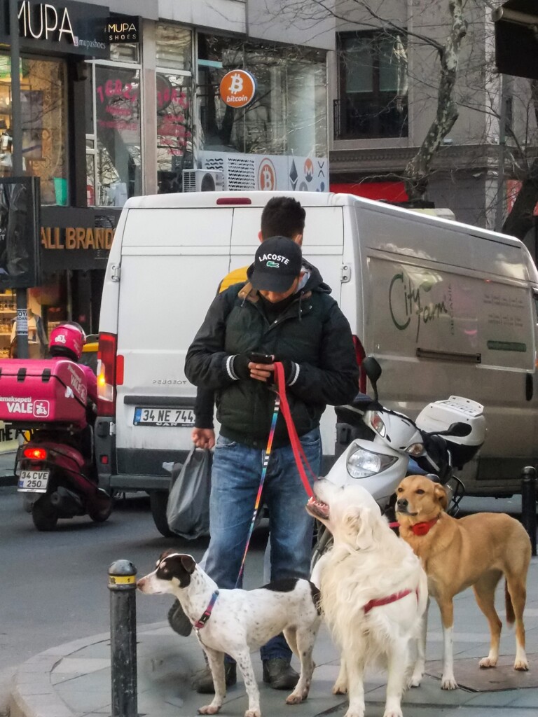 ワンちゃんの思いやり～♡