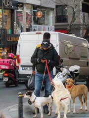 ワンちゃんの思いやり～♡