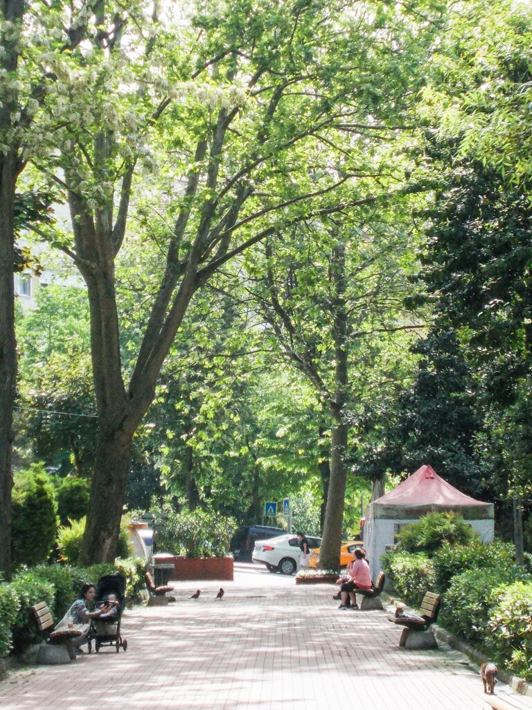 皆　お釈迦様の掌の上で～♡～