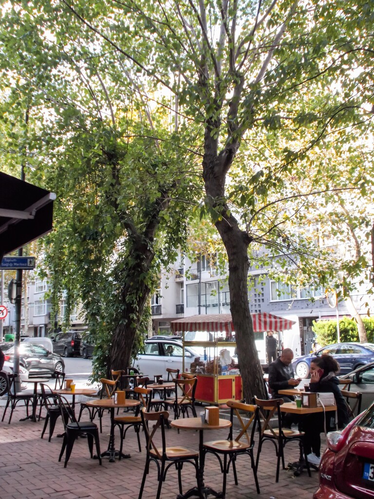 熱くて苦い目覚ましのチャイ～