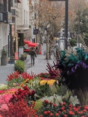 ジプシーの華やかな年末用の花達～