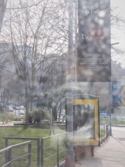 春の光の粒子達❀～❀