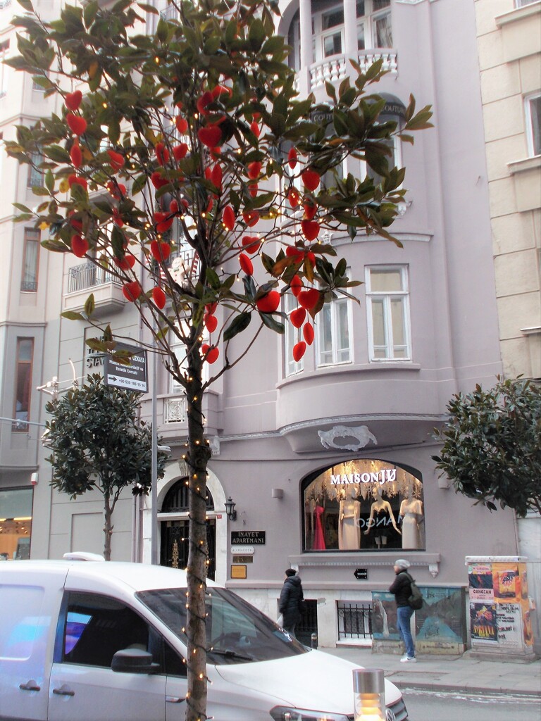 初恋～♡♪.。o○～