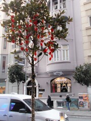 初恋～♡♪.。o○～