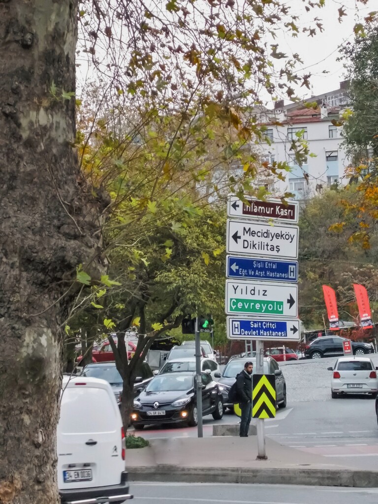 呆然自失・・・