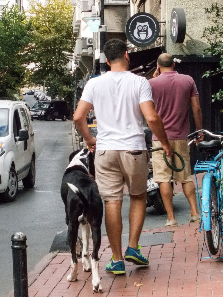 飼い犬からその人の好みが窺えそう…