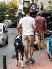 飼い犬からその人の好みが窺えそう…