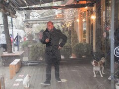 ネコとイヌとヒュウマンのパントマイム～