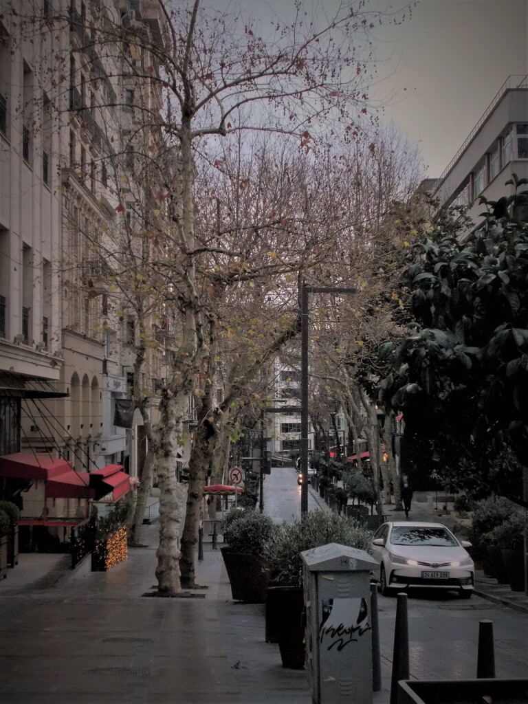 寒くて寂しい霧雨の街でした…