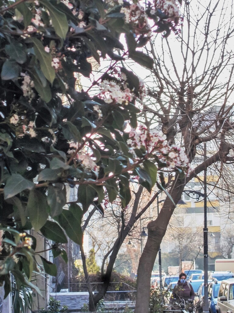 すこーしずつ　少しずつ～～