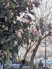 すこーしずつ　少しずつ～～