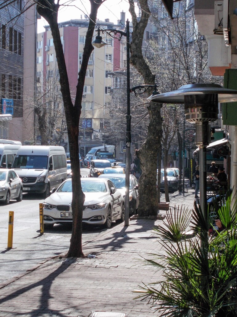 早春　朝の陽ざし～☆