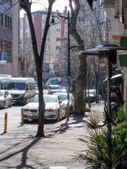 早春　朝の陽ざし～☆