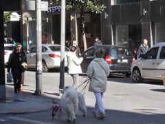 朝の散歩　悠々闊歩・・・