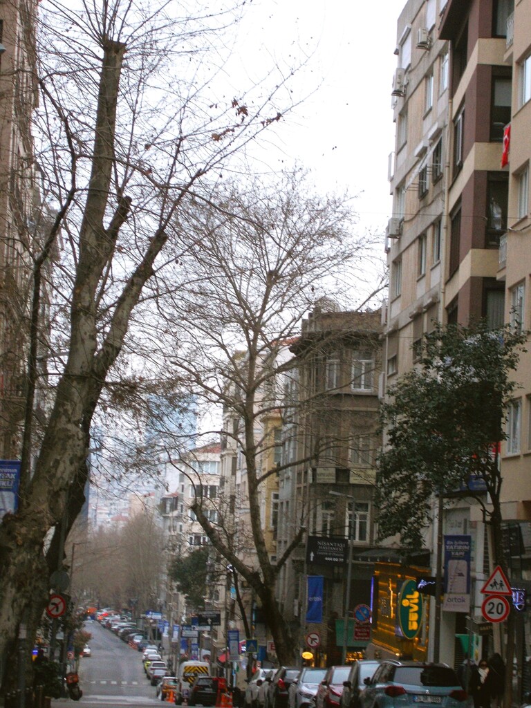 ひと時の街の安らぎ～～