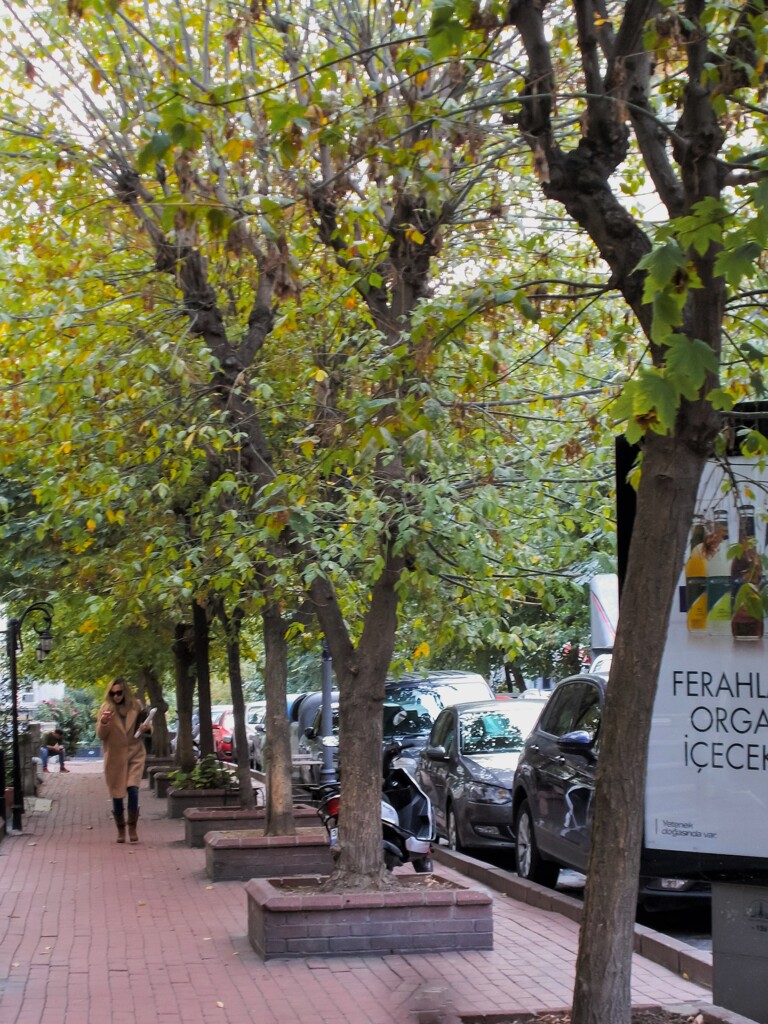 動き始める住宅街の朝～✨