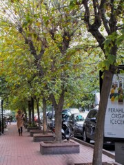 動き始める住宅街の朝～✨