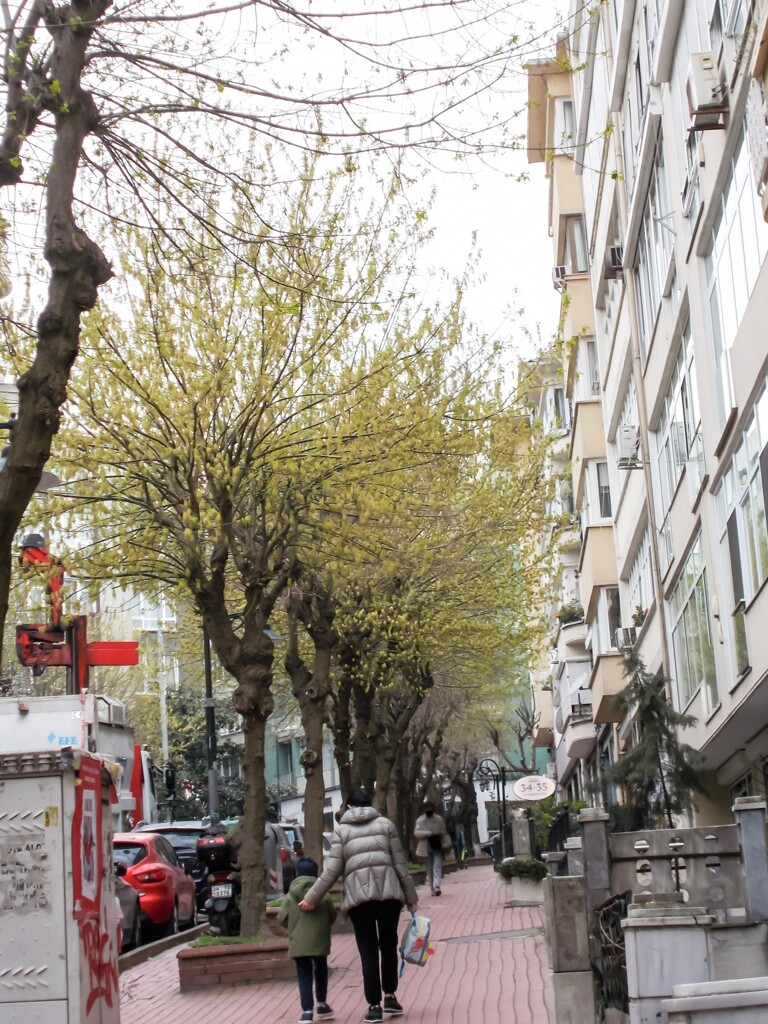 添えた手のひら～♡