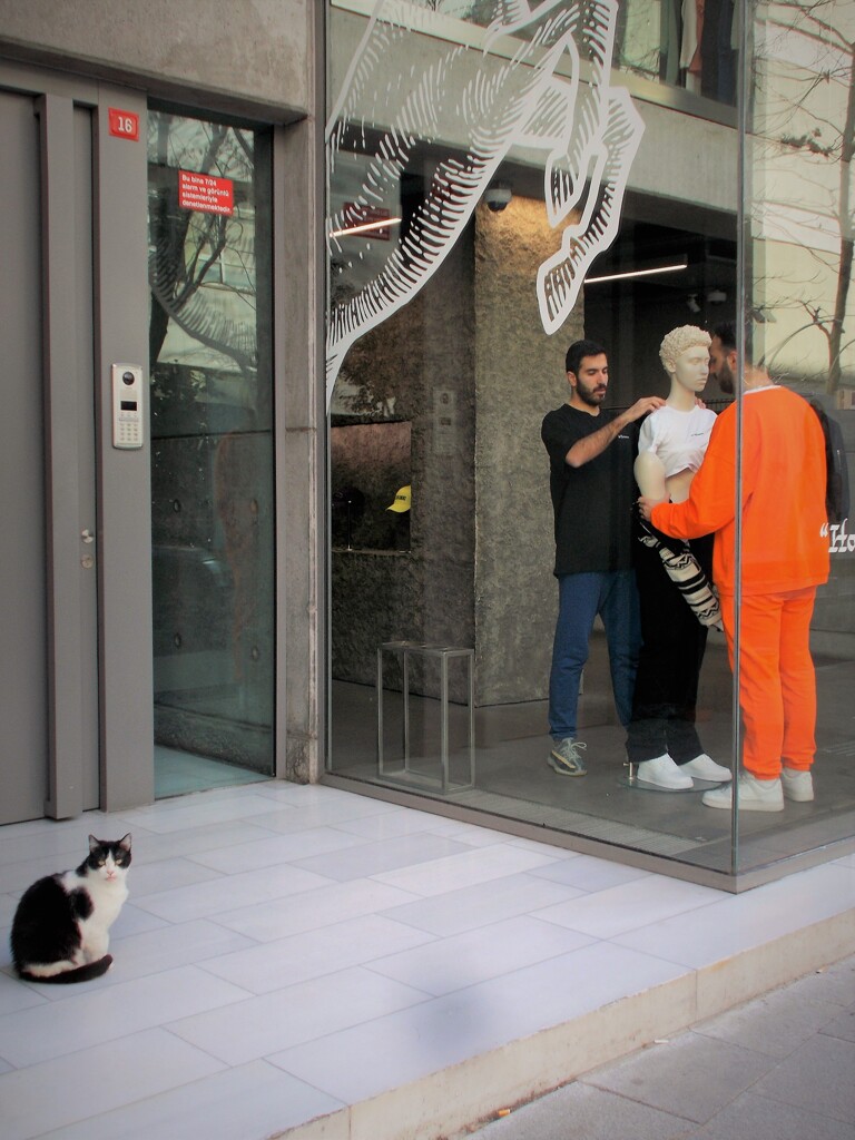 春服の仮縫い待ち～♪