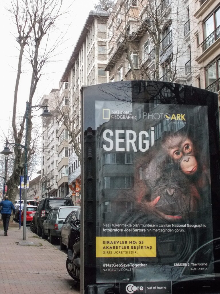 絶滅危惧種　写真展のポスター