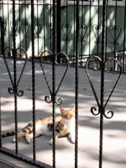 おはよ～♡☆♪～